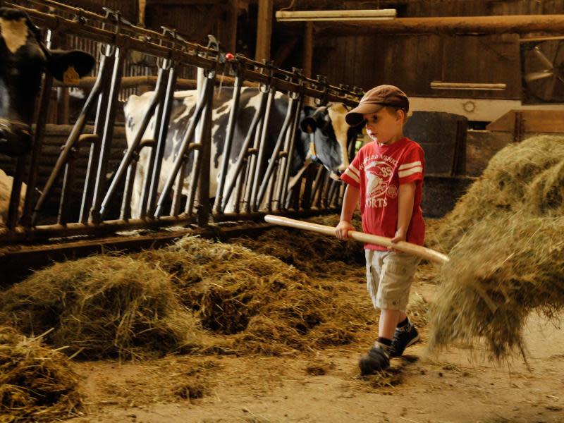 Sich ein bisschen wie echte Bauern fühlen - das können Kinder auf dem Oberen Rechtgrabenhof im Schwarzwald. Foto: Landsichten.de