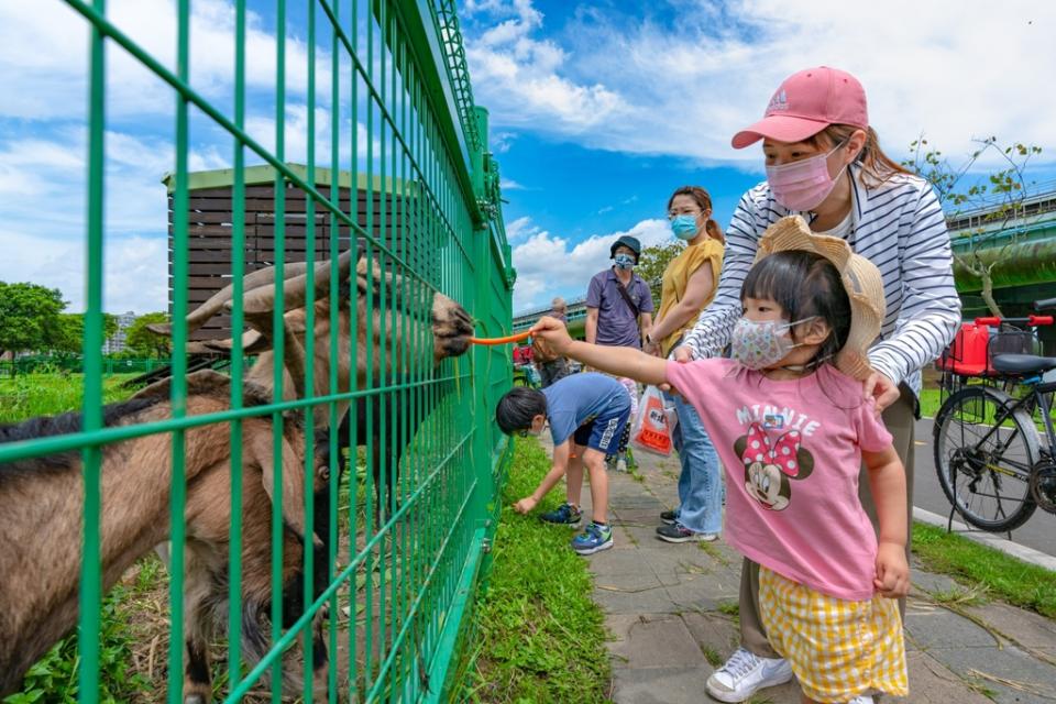 《圖說》浮洲藝術公園羊咩咩的家小朋友開心餵羊。〈水利局提供〉