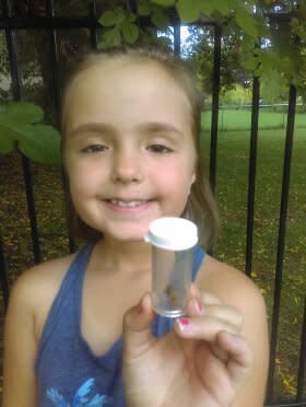 Sophia likes to talk to her specimens and kiss them. (Photo: Nicole Spencer)