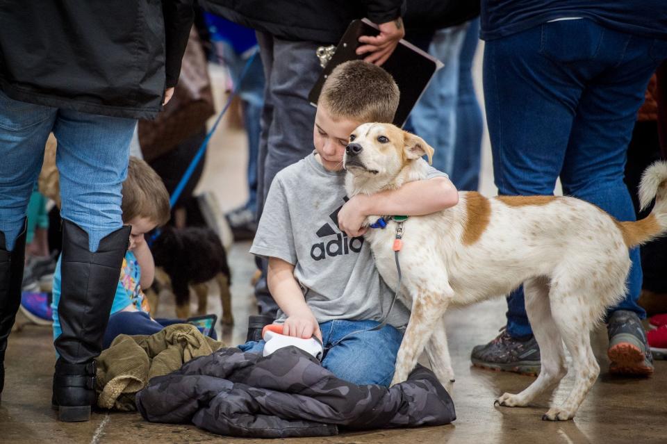 Check out all of the adoptable animals available at the Brandywine Valley SPCA's Mega Adoption Event on Dec. 10 and Dec. 11, 2022 to find your new best friend just like these two.