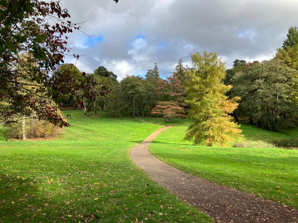 Windsor Great Park is perfect for long and winding walks (Getty Images/iStockphoto)