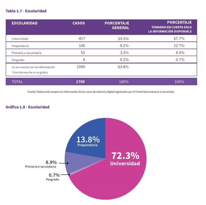 Informe de Violencia DIGITAL