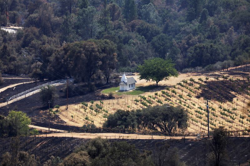 Oak Fire Burns in California