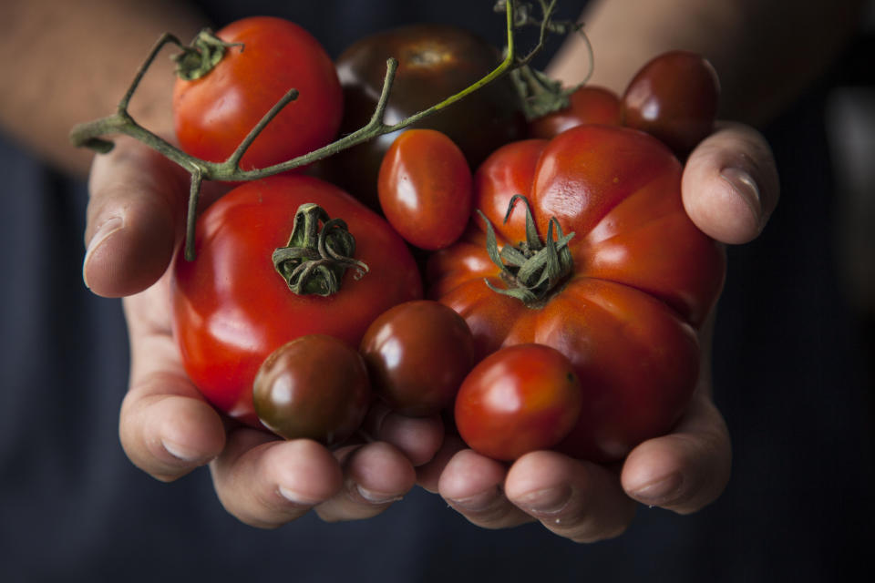 Ihre Früchte kommen in den unterschiedlichsten Formen hervor: Doch handelt es sich bei der Tomate eigentlich um Obst oder Gemüse? (Symbolbild: Flavia Morlachetti)