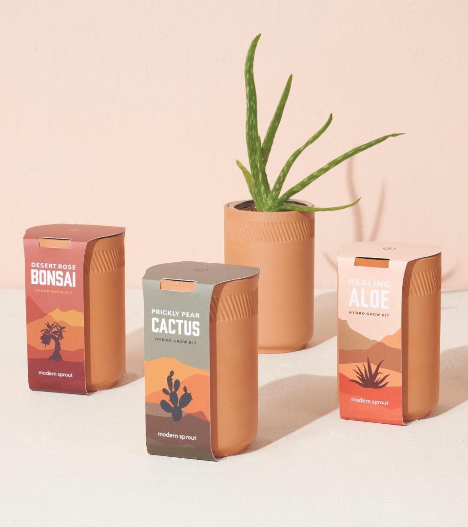 <p><a href="https://modernsprout.com/products/terracotta-grow-kits-1" rel="nofollow noopener" target="_blank" data-ylk="slk:Shop Now;elm:context_link;itc:0;sec:content-canvas" class="link ">Shop Now</a></p><p>Modern Sprout</p><p>modernsprout.com</p><span class="copyright">Modern Sprout</span>