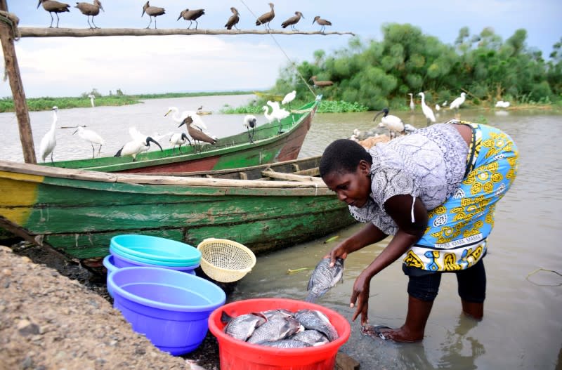 Lilian Atieno, a fishmonger, prepares fish at Dunga beach on the shores of Lake Victoria in Kisumu