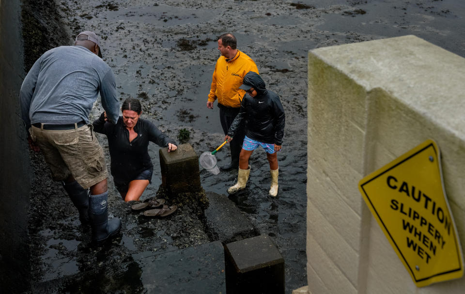 A woman gets help climbing from a muddy area in Tampa, Florida, United States on September 28, 2022. 