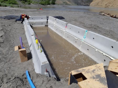 A trench to be used as a holding pond for migrating salmon is constructed near the Big Bar landslide