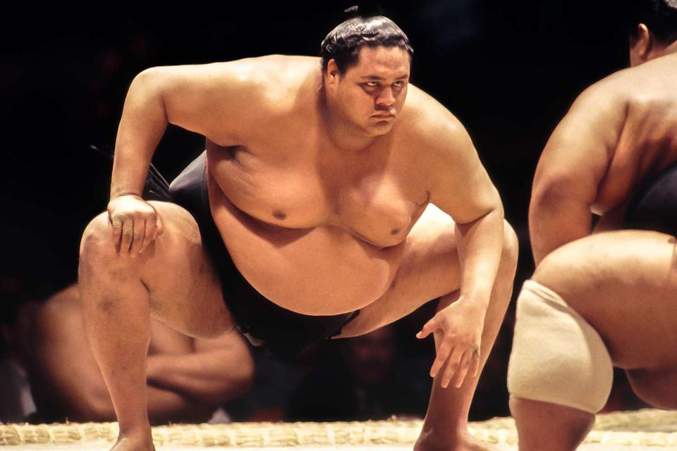 <p>David Madison/Getty</p> Akebono Taro competes in the 1993 San Jose Basho sumo wrestling tournament