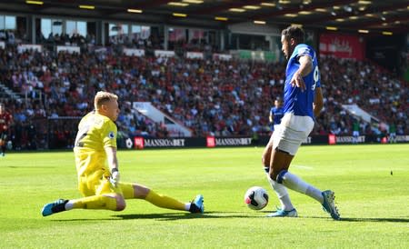 Premier League - AFC Bournemouth v Everton