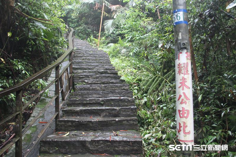 石頭路下過雨後難免有點濕滑，登山客需多加小心。