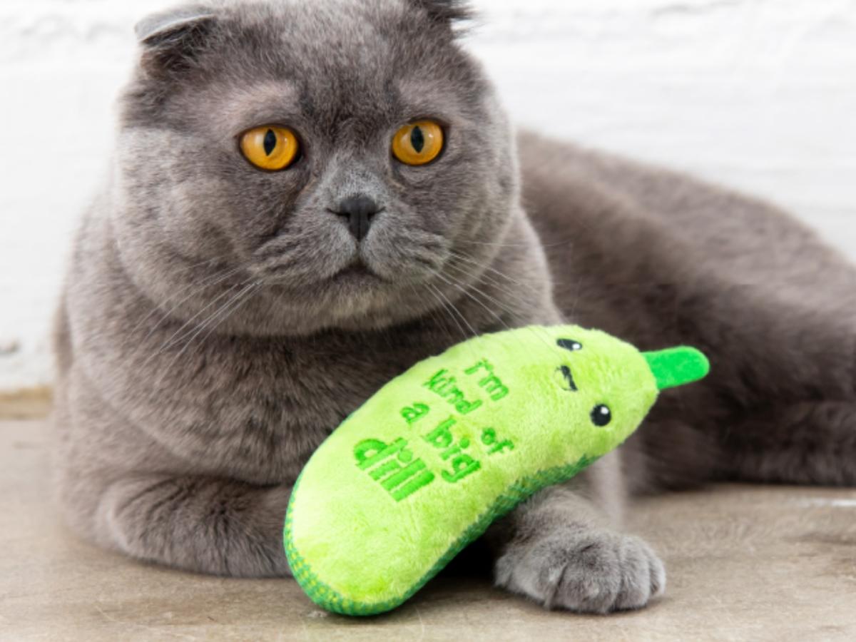 This $5 Catnip-Filled Toy With Over 18,000 Reviews Provides Your Cat with Hours of Fun & Improved Dental Health