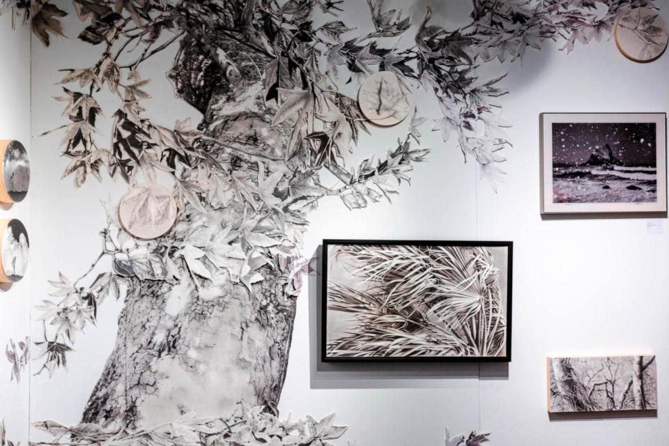 PHOTO: Catherine Ruane's charcoal drawing and Ye Wenlong’s photography exhibiting on the same wall, creating a unique harmony. (Yiwei Lu)