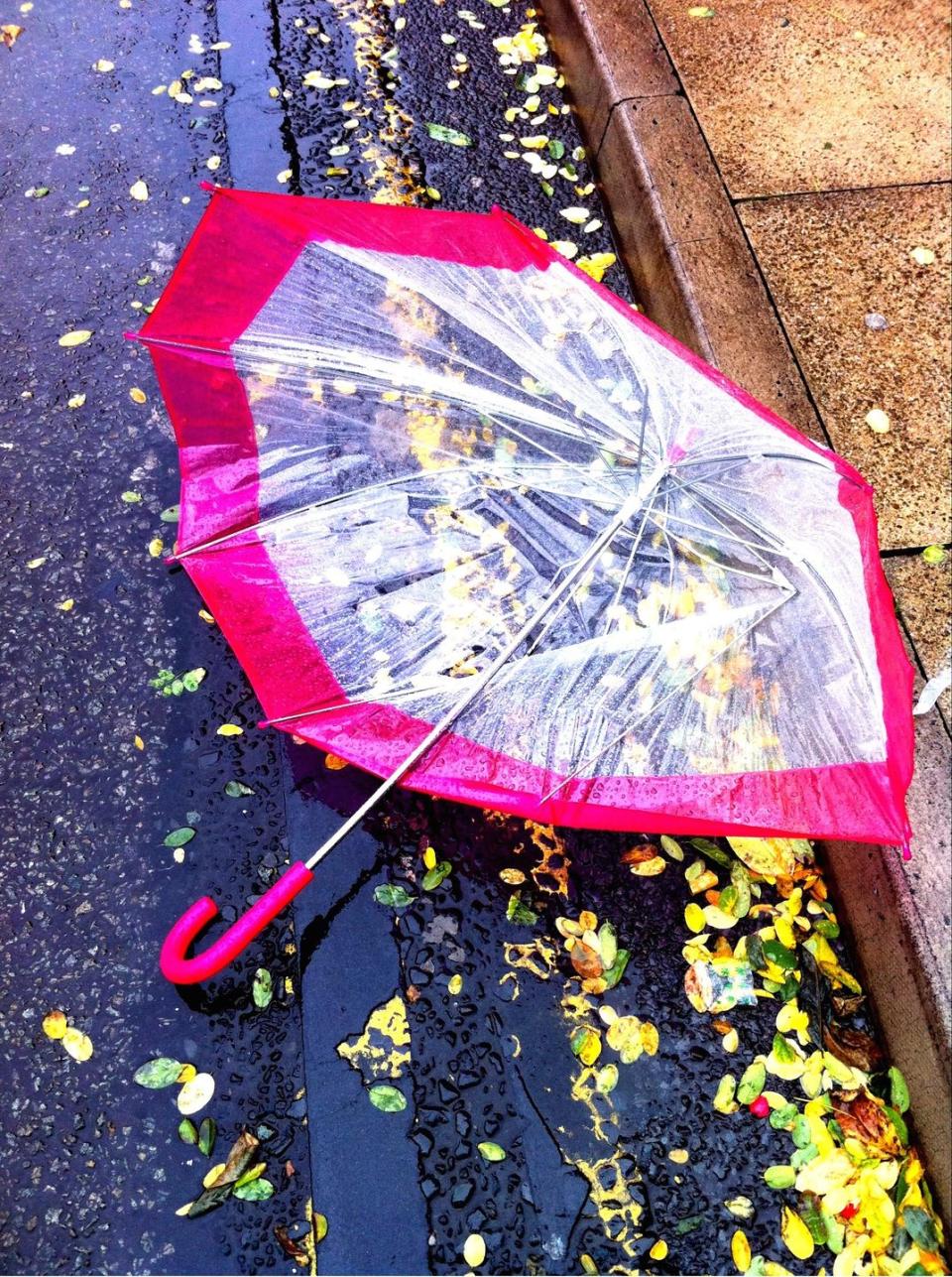 25) Broken Umbrellas