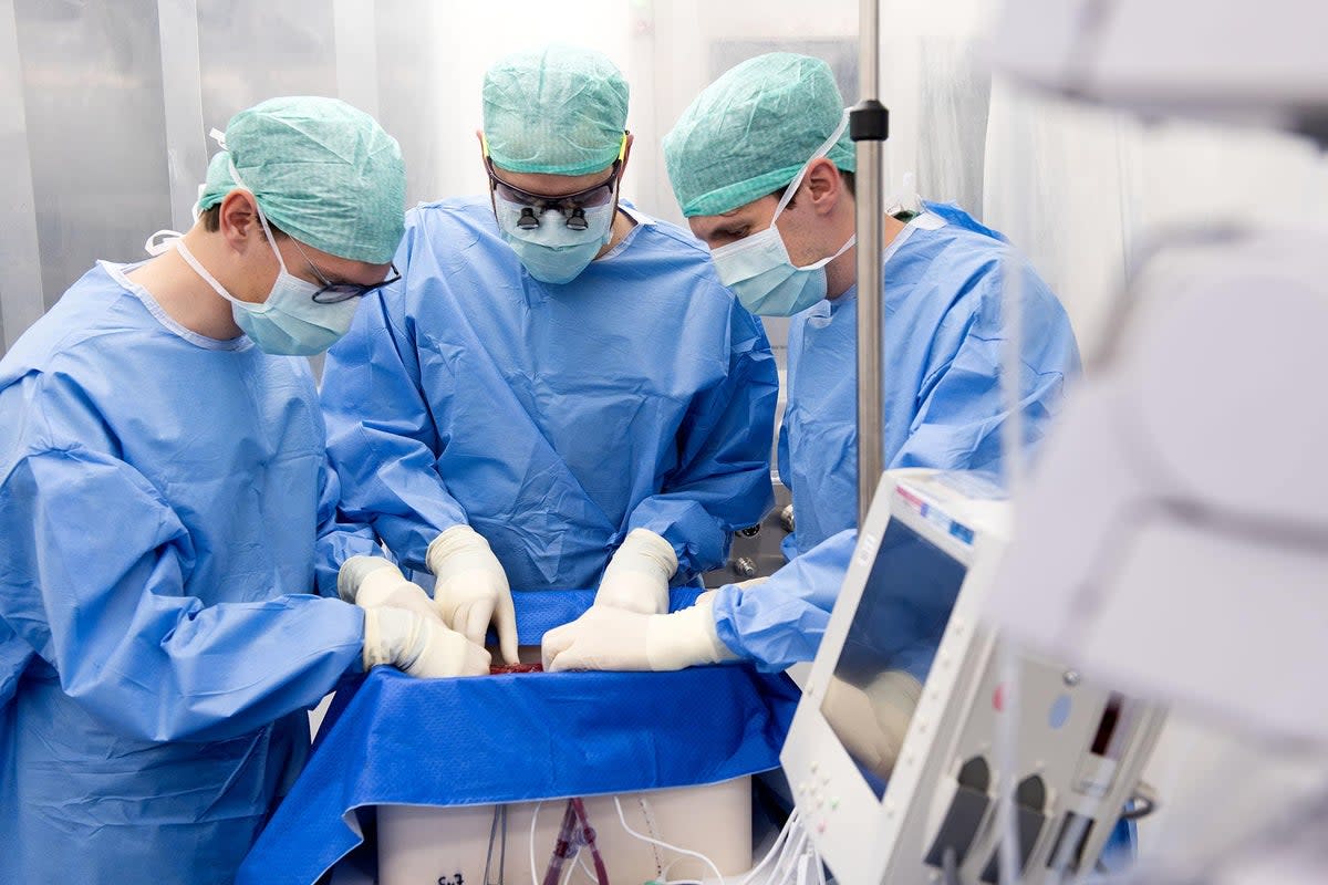 Healthcare workers connect a donor organ to a perfusion machine (PA Media)