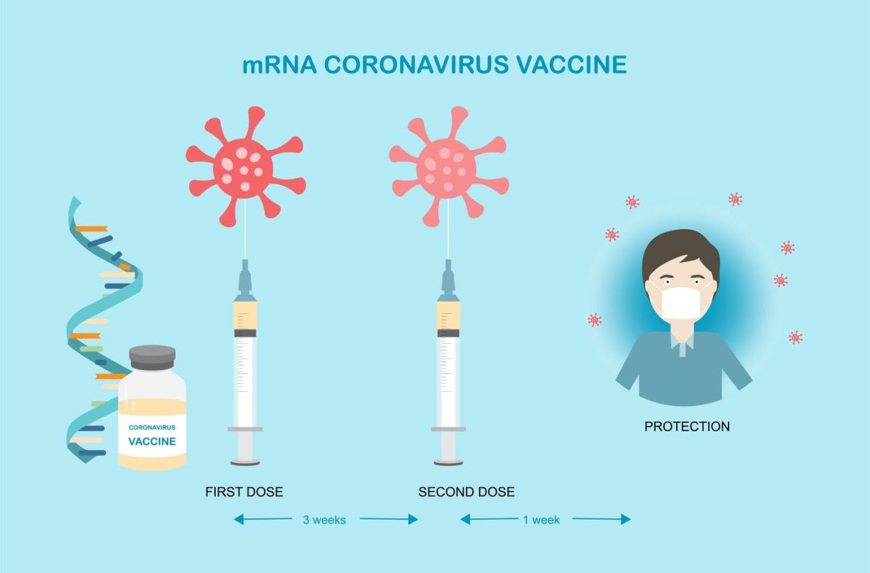 <span class="caption">In clinical trials, the two doses of the Pfizer/BioNTech vaccine were taken three weeks apart. This led to 95% efficacy against the COVID-19 virus.</span> <span class="attribution"><a class="link rapid-noclick-resp" href="https://www.gettyimages.com/detail/illustration/concepts-of-mrna-vaccine-for-coronavirus-royalty-free-illustration/1285089812?adppopup=true" rel="nofollow noopener" target="_blank" data-ylk="slk:iStock/Getty Images Plus;elm:context_link;itc:0;sec:content-canvas">iStock/Getty Images Plus</a></span>