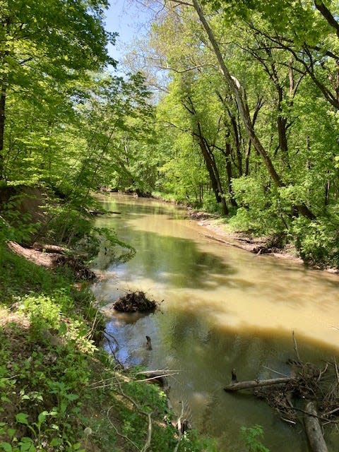 A view of Buck Creek from the trail in Southeastway Park in Indianapolis.