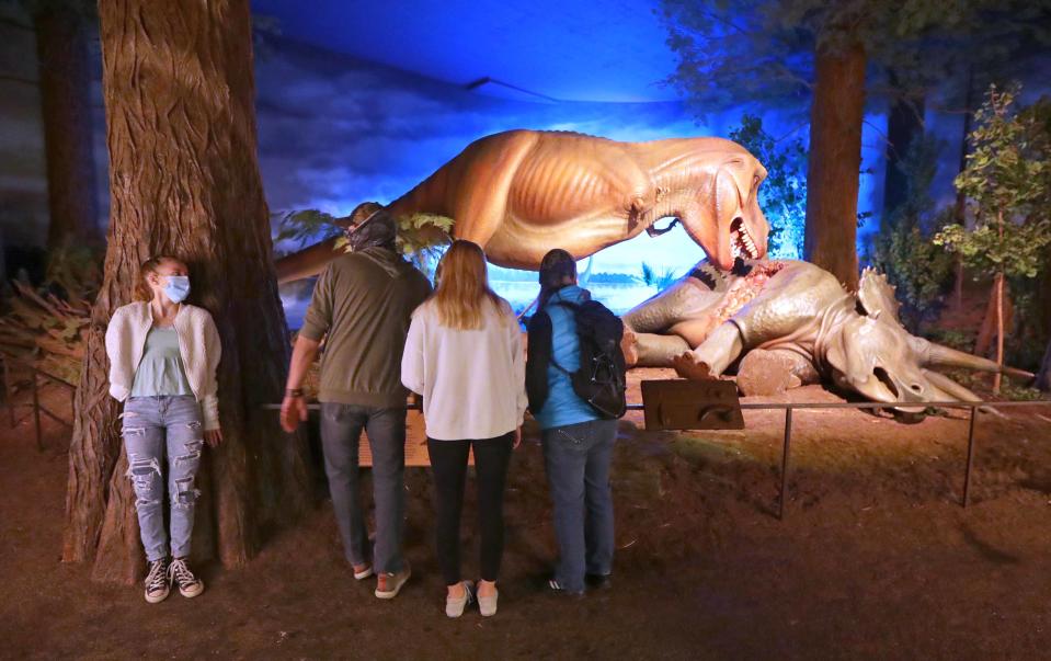 Evelyn Klausen, left, 13, stands behind a tree while her family, including her father, Daryl Klausen, mother, Amanda, and sister, Grace, 17, look at a dinosaur exhibit while in the Third Planet wing of the Milwaukee Public Museum.