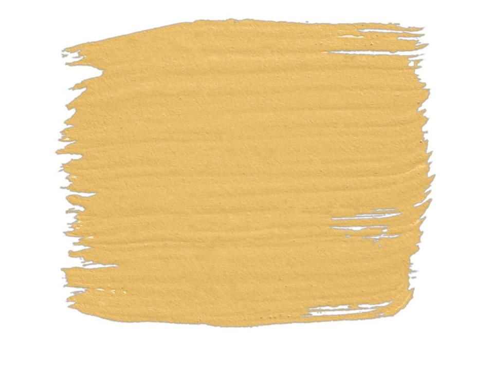 paint swatch of damask gold from the benjamin moore williamsburg color collection