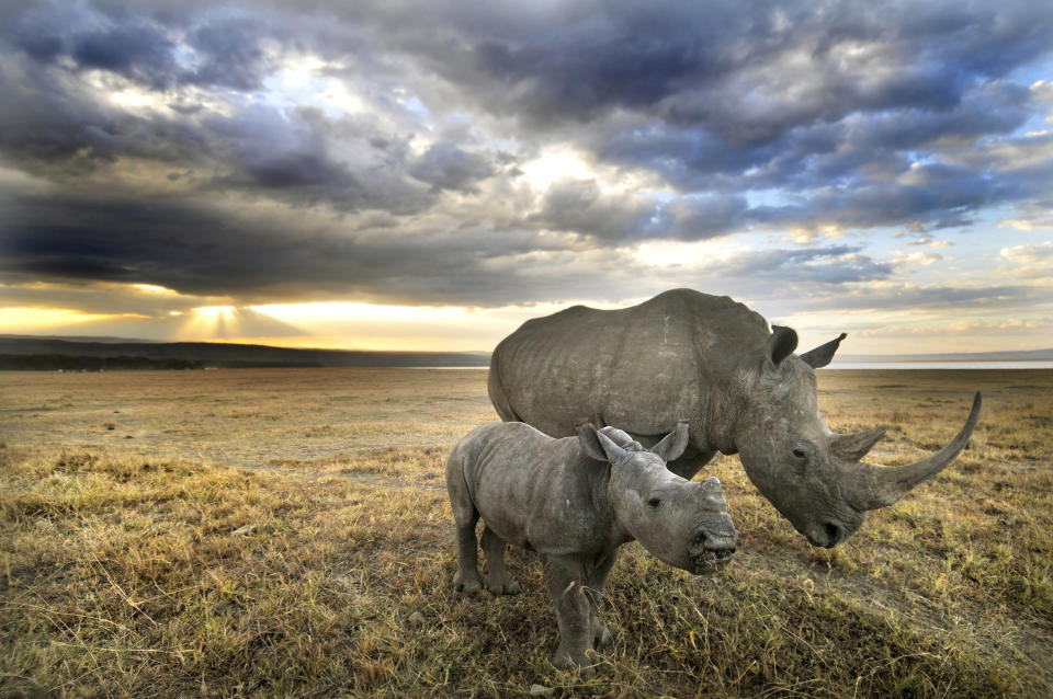 Mum and baby head home....