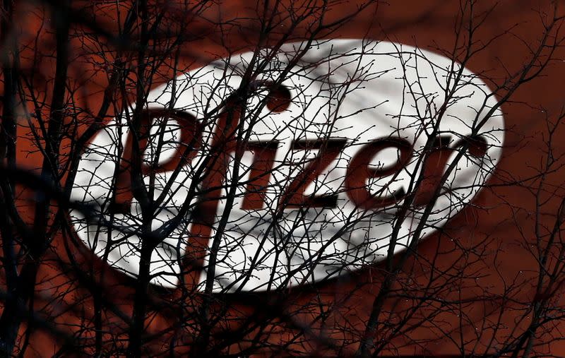 FILE PHOTO: A company logo is seen through branches at a Pfizer office in Dublin