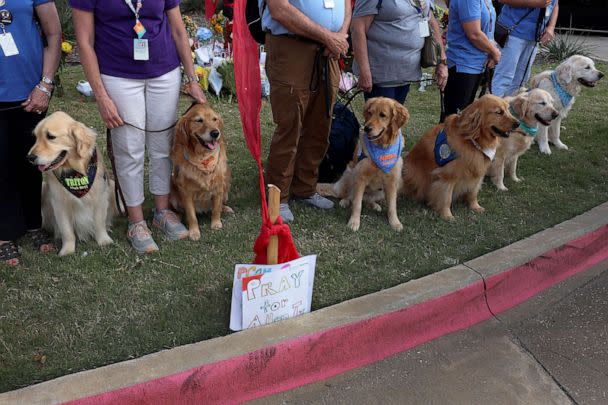 PHOTO: Comfort dogs from the Lutheran Church Charities K-9 ministries sit near a memorial at an entrance to the Allen Premium Outlets mall after the mass shooting occurred, May 8, 2023 in Allen, Texas. (Joe Raedle/Getty Images)