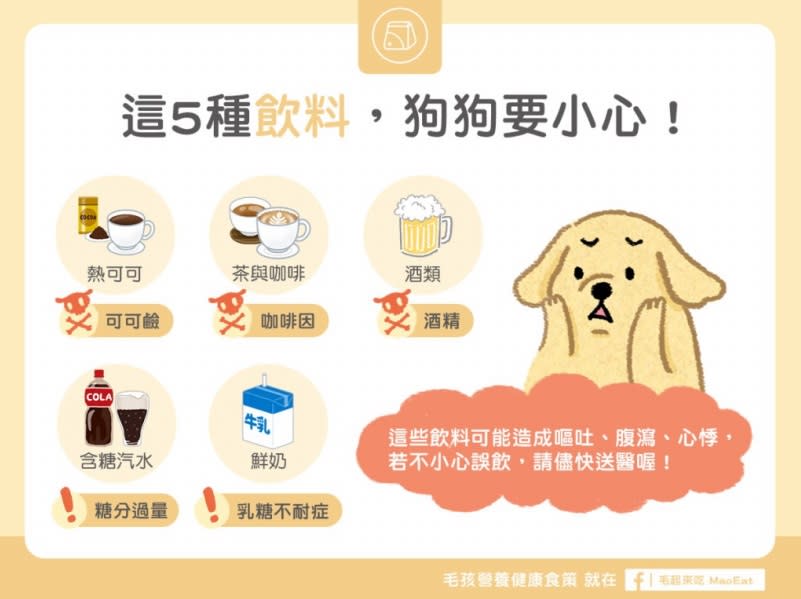 生活中的飲料過甜或含有咖啡因也都不適合毛寶貝。   (圖片來源臉書 毛起來MAOUP)