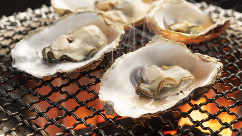 Oysters on charcoal grill
