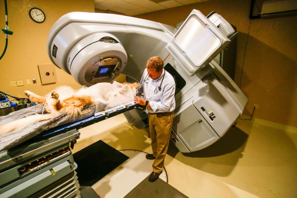 Veterinary radiation oncologist Dr. Eric Boshoven treats a canine patient. At the 2022 Veterinary Meeting and Expo in Orlando, Boshoven discussed the benefits of using stereotactic radiation to pinpoint and blast tumors in animals with fewer side effects.