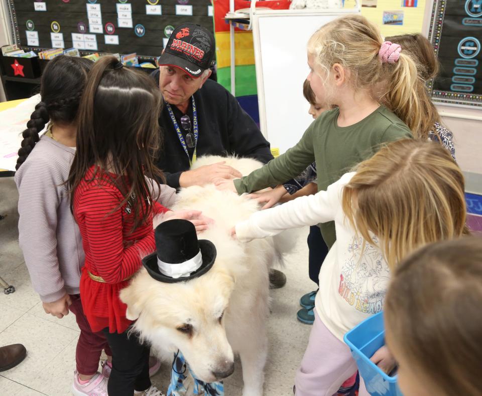 Layton, NJ -- November 29, 2023 -- John Coco, with Tyler while the dog came to visit a kindergarten class. Coco, a Sussex County beekeeper is retiring Tyler, a Great Pyrenees that Coco has been taking to the Sandyston-Walpack School since the pandemic. Tyler comforts the elementary school students by having them read and talk to him as he relaxes in the classrooms.