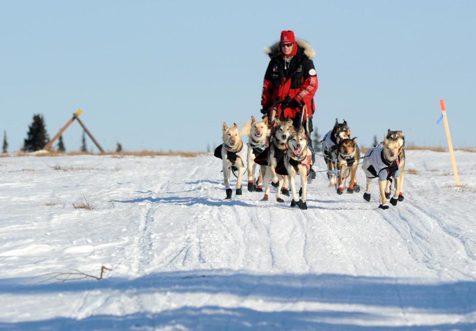 Aliy Zirkle drives her dog team across the portage from Kaltag to Unalakleet. Zirkle is the first musher to reach the Bering Sea in Unalakleet during the 2014 Iditarod Trail Sled Dog Race on Saturday, March 8, 2014. (AP Photo/The Anchorage Daily News, Bob Hallinen)