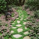 <p>Low growing perennials, like dwarf impatiens planted with <em>Soleirolia soleirolii</em> make a charming garden pathway. Check out more of the best ground cover flowers for your yard.</p><p><strong><a href="https://www.countryliving.com/gardening/garden-ideas/how-to/g789/ground-cover-flowers-0509/" rel="nofollow noopener" target="_blank" data-ylk="slk:Read more about ground cover plants;elm:context_link;itc:0;sec:content-canvas" class="link ">Read more about ground cover plants</a>.</strong></p>