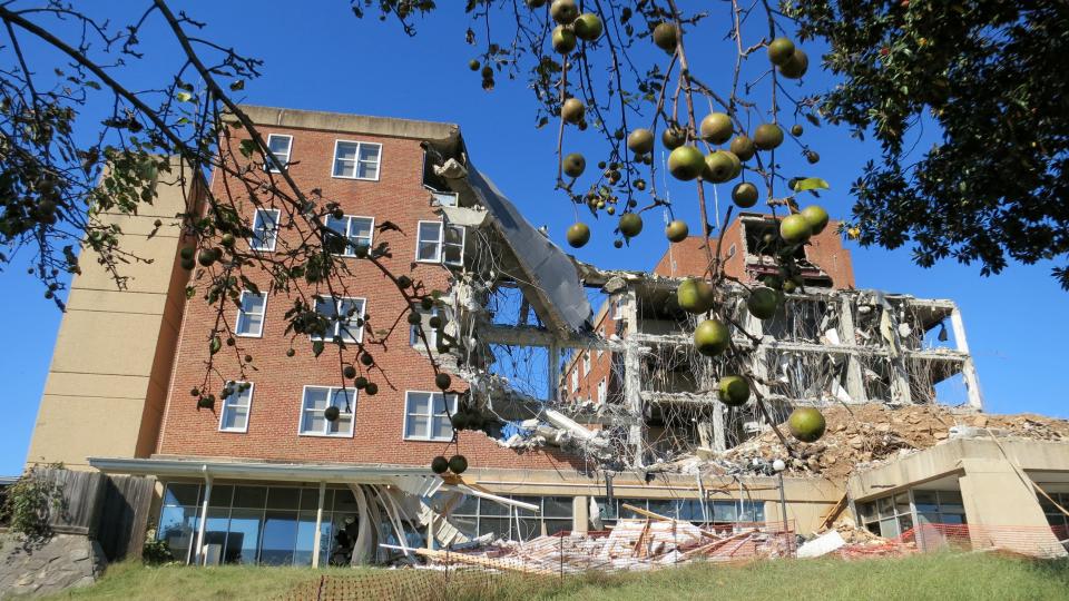 A former building for Lakeshore patients gets taken down in the early phase of the park's 10-year makeover.