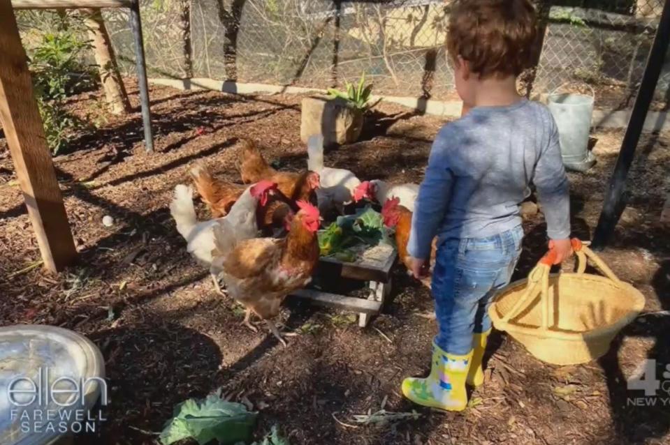 Meghan Markle, Duchess of Sussex on Ellen show Unseen picture of Archie with in the family’s chicken coop (The Ellen DeGeneres Show)