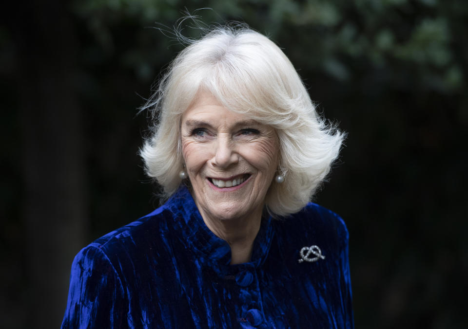 LONDON, ENGLAND - DECEMBER 16: Camilla, Duchess of Cornwall decorates the Clarence House Christmas Tree virtually with children from Helen & Douglas House Hospice, on December 16, 2020 in London, England. (Photo by Eddie Mulholland - WPA Pool/Getty Images)