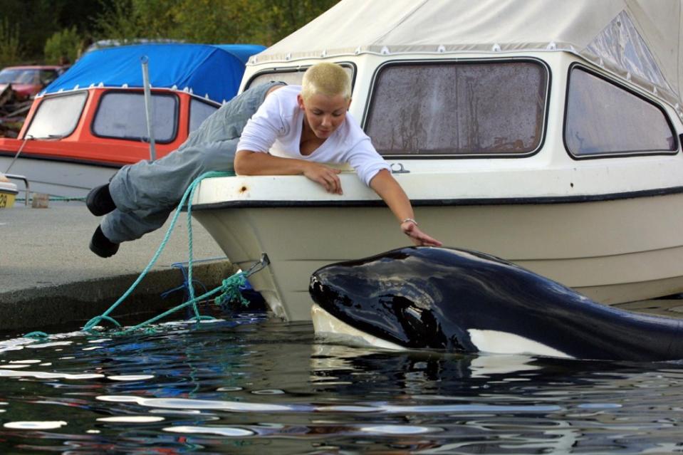 Keiko en la costa de Noruega en 2002. Foto: Cortesía