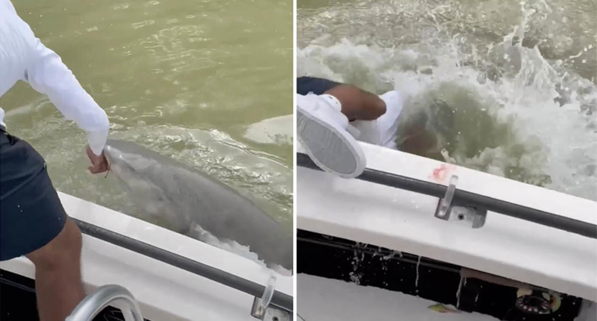 一段可怕的视频中，牛鲨将一名渔民拉入水中