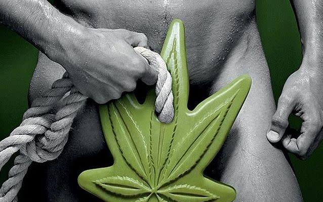 Members of the public were concerned by the graphic nature of this ad for hemp soap.