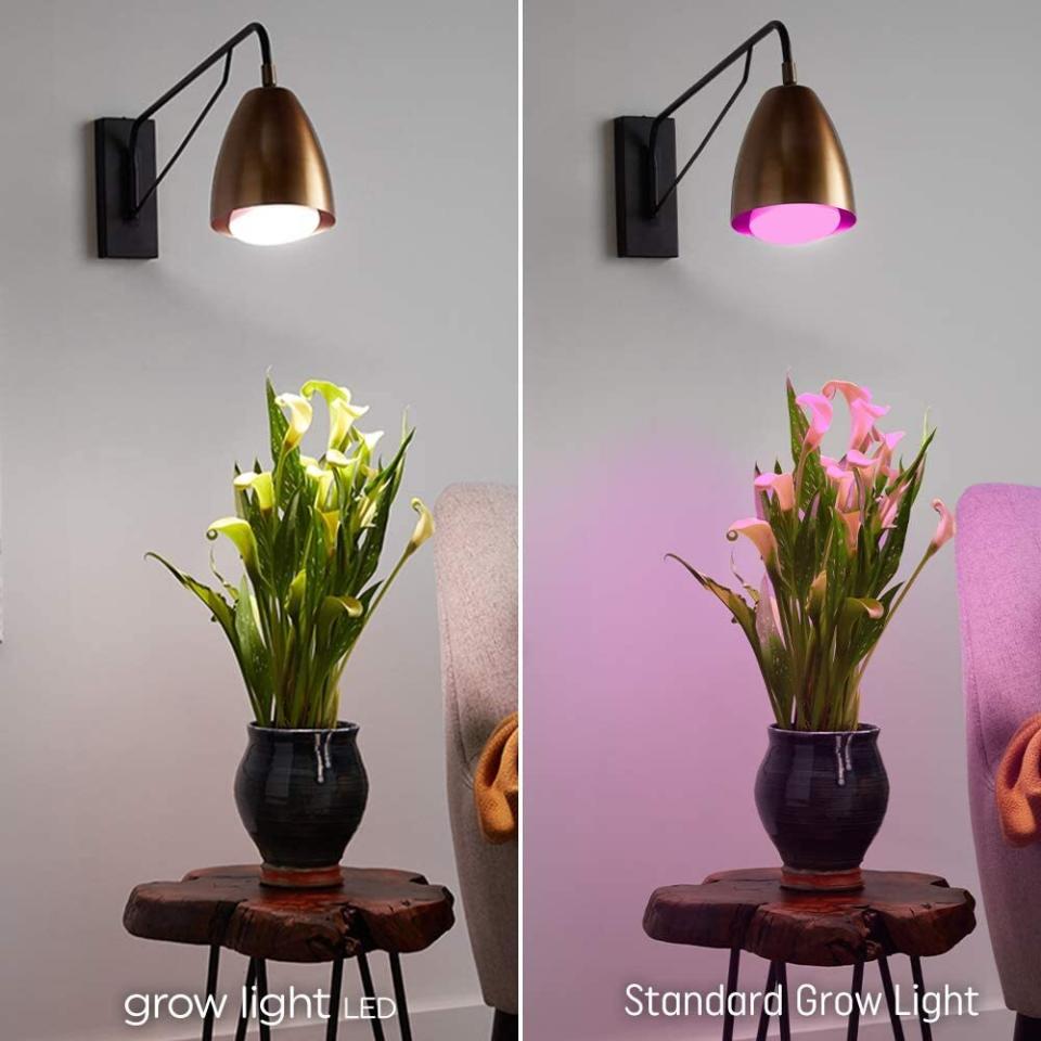 If you have a north-facing window (sigh), it can be hard for your succulents or other plants to get enough sunlight. Place this bulb in a lamp so your plant babies can have more time to photosynthesize.<br /><br /><strong>Promising review</strong>: "I only have medium-light in my space during the daytime and I was worried that this monstera was gonna be unhappy. So I went ahead and bought this white grow light because I hated the typical purple grow light. <strong>I&rsquo;m happy to say that my monstera LOVES this light and it has consistently been giving me new and healthy leaves for a few months now since I got the bulb. The light has never given my boy burns either!</strong> I also use it as extra light whenever I feel like the space is dark. I do see that the price fluctuates a lot so you gotta keep track of that. I am purchasing more in preparation for winter for my other plant babies. Overall, 10/10!" &mdash; <a href="https://amzn.to/3csB4xg" target="_blank" rel="nofollow noopener noreferrer" data-skimlinks-tracking="5929401" data-vars-affiliate="Amazon" data-vars-href="https://www.amazon.com/gp/customer-reviews/R8IEIAXD3UK2I?tag=bfchristine-20&amp;ascsubtag=5929401%2C9%2C27%2Cmobile_web%2C0%2C0%2C16639918" data-vars-keywords="cleaning,fast fashion" data-vars-link-id="16639918" data-vars-price="" data-vars-product-id="21086088" data-vars-product-img="" data-vars-product-title="" data-vars-retailers="Amazon">Trekova<br /><br /></a><a href="https://amzn.to/3crDLPC" target="_blank" rel="noopener noreferrer"><strong>Get it from Amazon for $11.30.</strong></a>