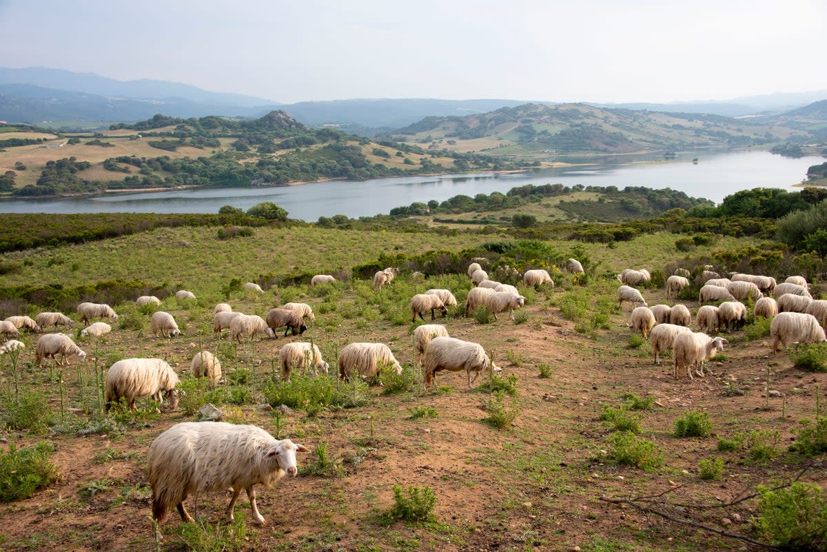 There are 30 stages to the 311-mile Santa Barbara Mining trail (Getty Images)