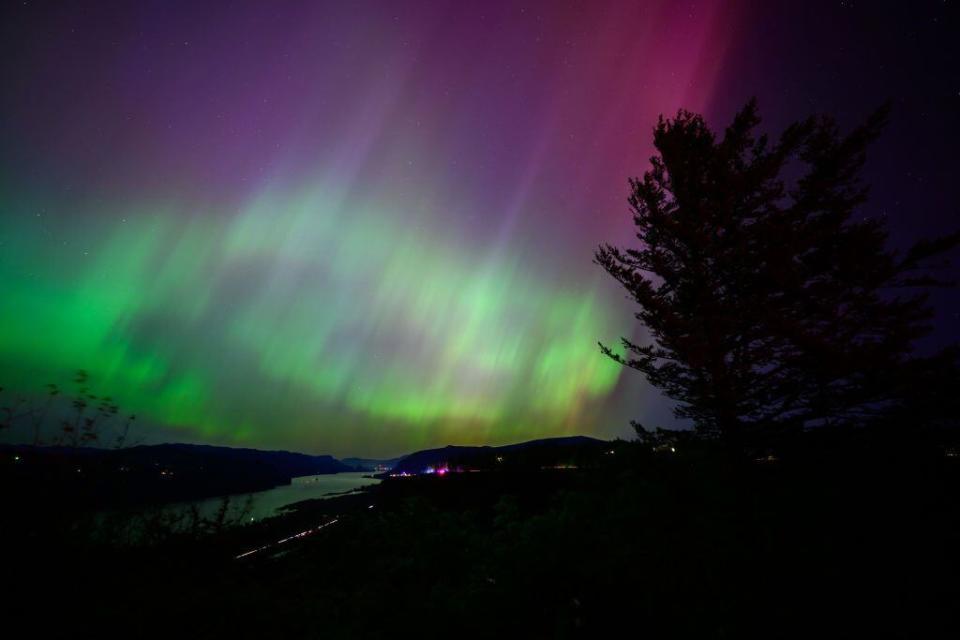 LATOURELL, OREGON - MAY 11: The Northern Lights are seen above the Columbia River Gorge from Chanticleer Point Lookout in the early morning hours of May 11, 2024 in Latourell, Oregon. Places as far south as Alabama and parts of Northern California were expected to see the aurora borealis, also known as the northern lights from a powerful geomagnetic storm that reached Earth. (Photo by Mathieu Lewis-Rolland/Getty Images)