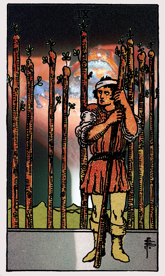 9 of wands