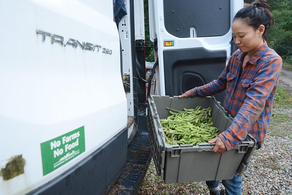 Yoko Takemura, owner of Assawaga Farm in East Putnam, with with a bin of young edamame soybeans Sept. 20, 2022. Edamame is a preparation of immature soybeans in the pod, found in cuisines with origins in East Asia.