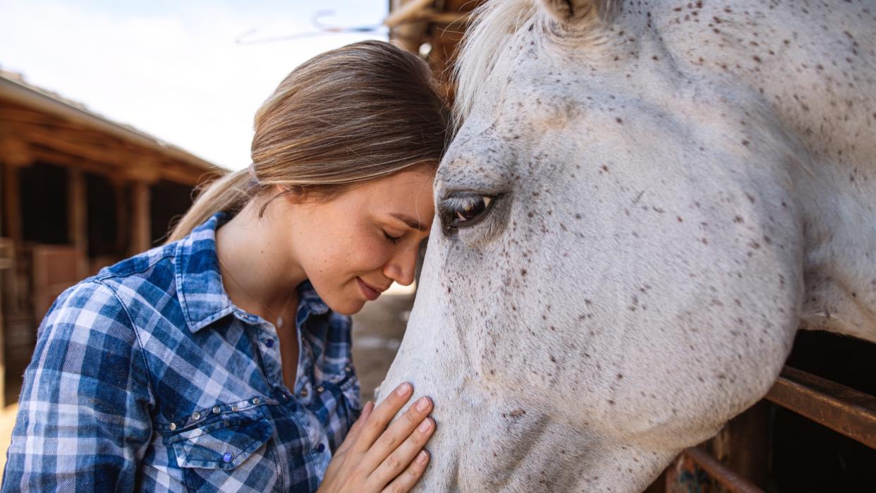  Woman and horse with their foreheads pressed together. 