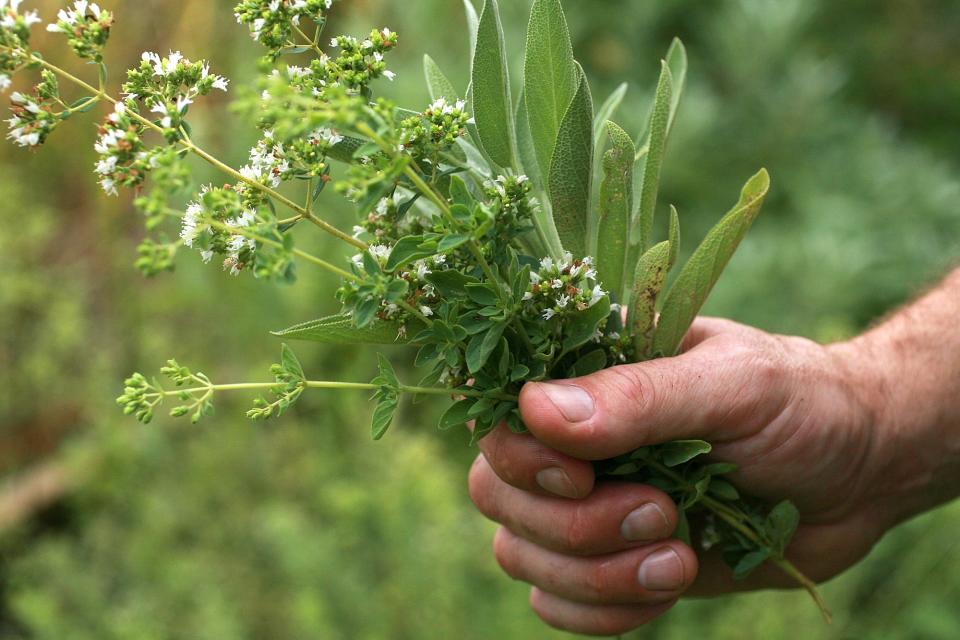 Check out our tips for storing fresh herbs.