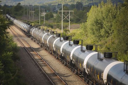 Unused oil tank cars are pictured on Western New York & Pennsylvania Railroad tracks outside Hinsdale, New York August 24, 2015. REUTERS/Lindsay DeDario