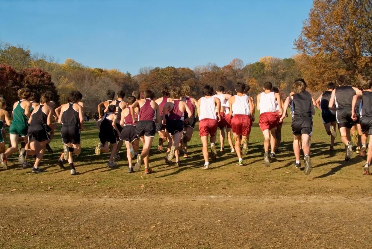 Runners at the start of a cross country race