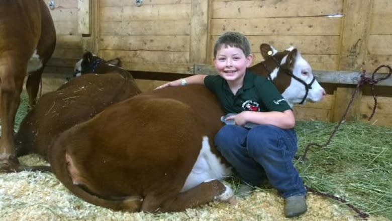 Bonanza 2015 cattle show in Fredericton this weekend