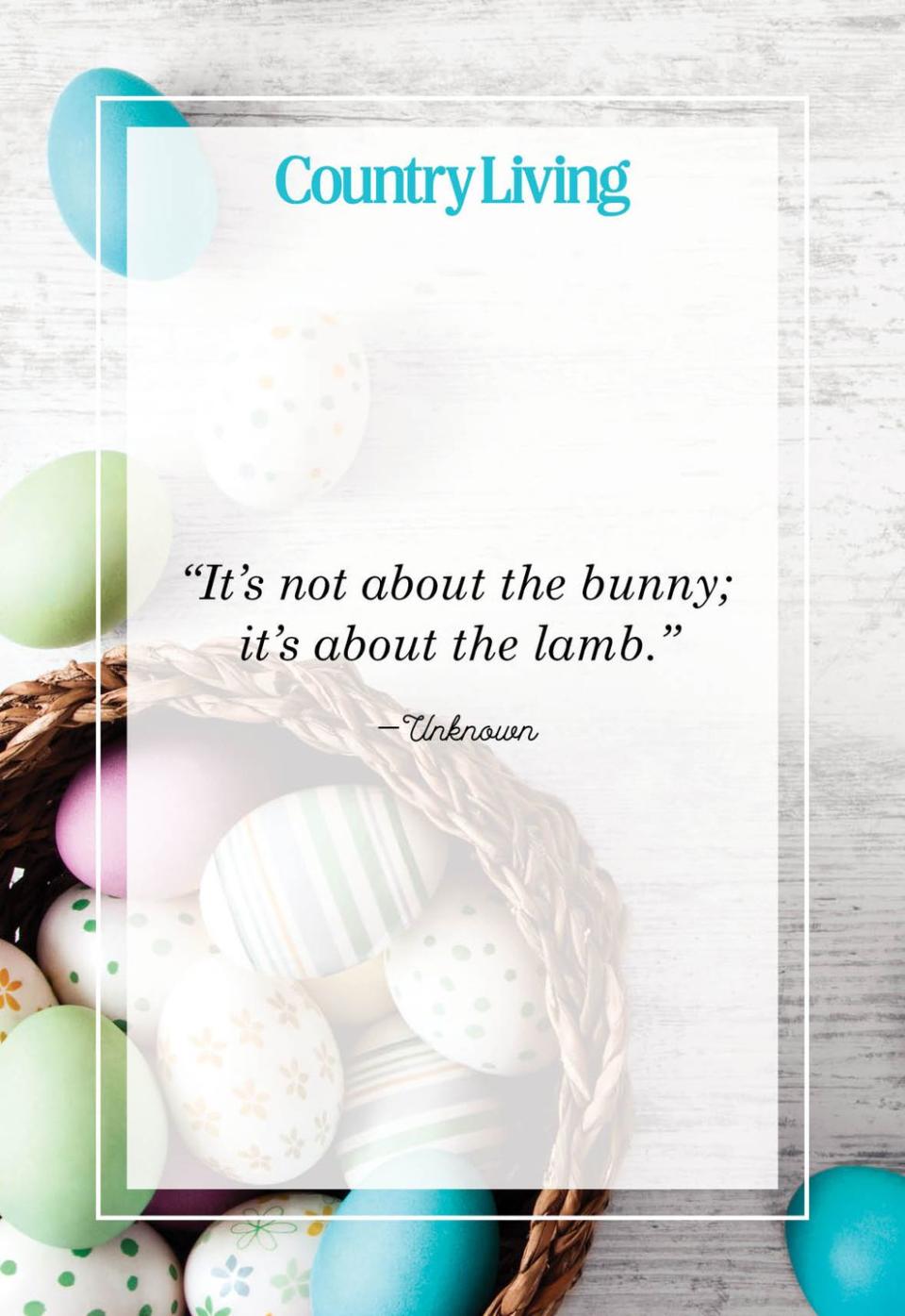 <p>"It's not about the bunny; it's about the lamb."</p>