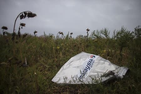 A piece of wreckage of the downed Malaysia Airlines flight MH17 is pictured near the village of Hrabove (Grabovo) in Donetsk region, eastern Ukraine September 9, 2014. REUTERS/Marko Djurica